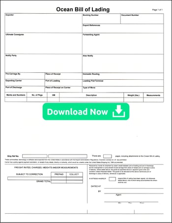 Ocean Bill of Lading